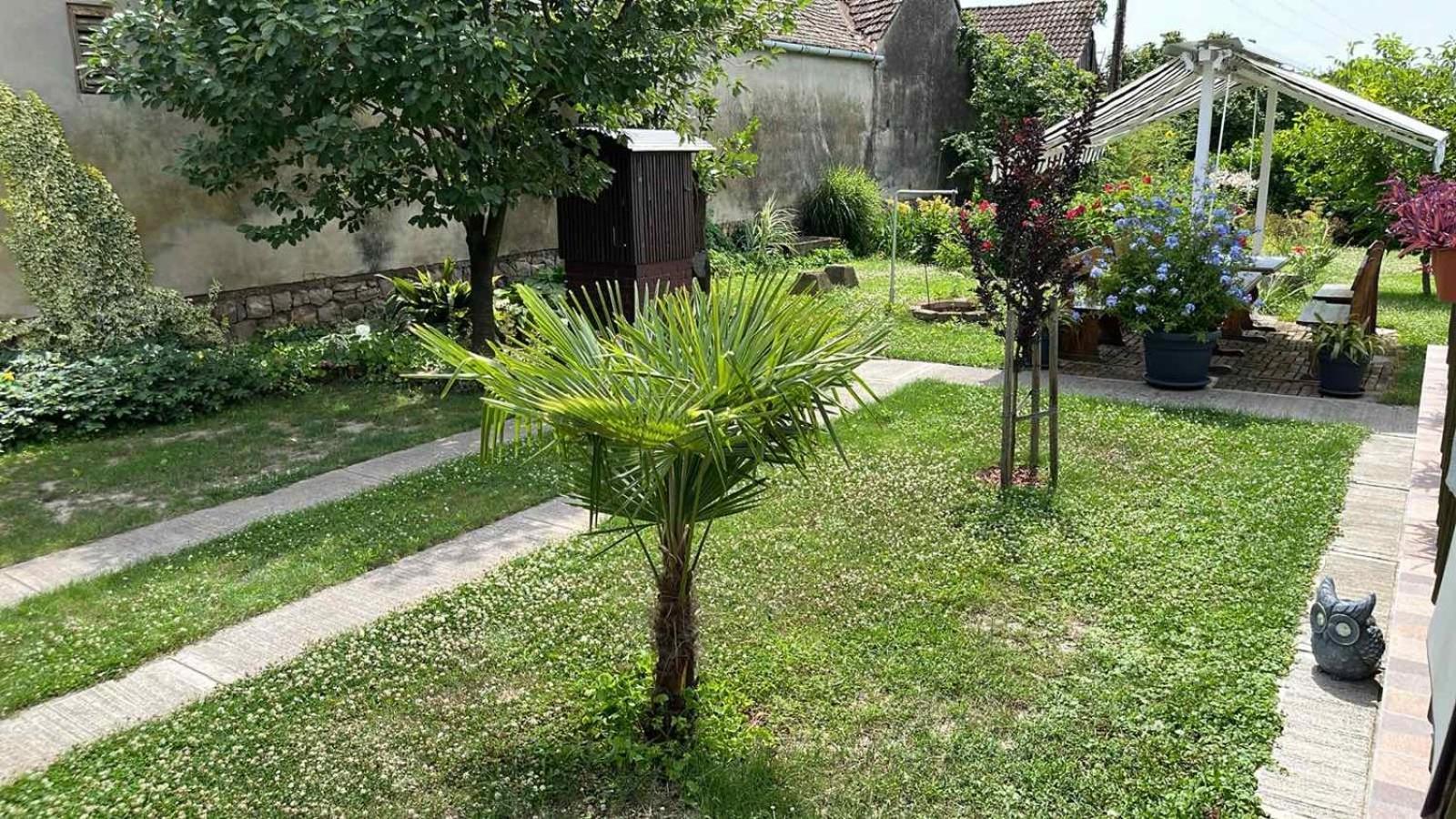 Turul -Kuca Za Odmor- Διαμέρισμα Korod Εξωτερικό φωτογραφία